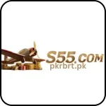 S55 Game