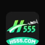 H555 Game