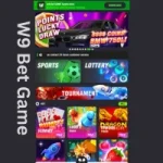 W9 Bet Game