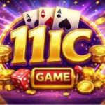 11IC Game