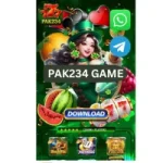 Pak234 Game