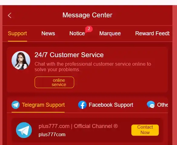S99 Support screen
