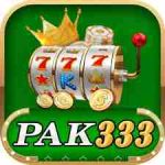 PK333 Game
